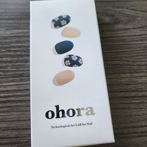 Press-On Nails - Floral and Nude Set